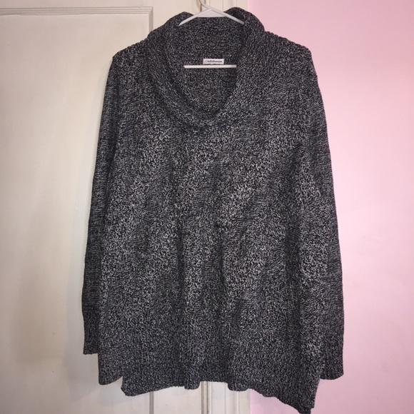 croft & barrow Sweaters - Croft and Barrow Chunky Sweater